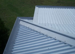 GumLeaf on a Corrugated Roof Corflute